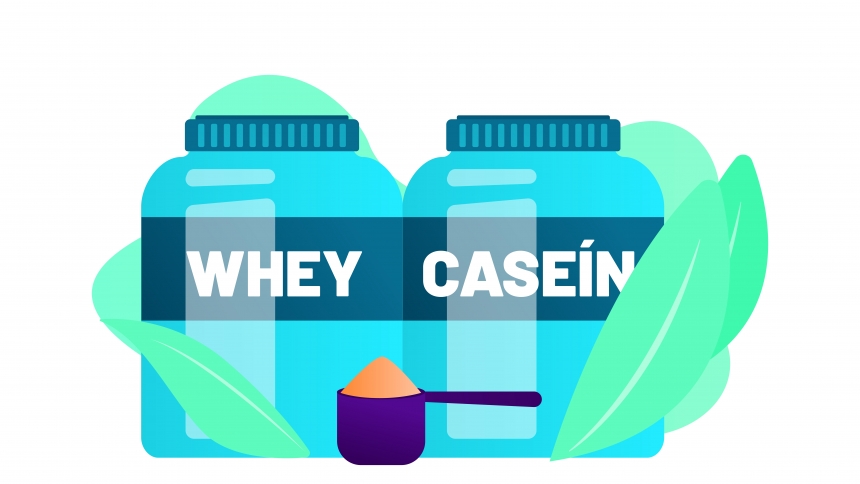 Whey vs Caseína